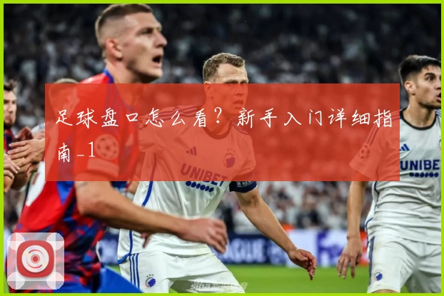 足球盘口怎么看？新手入门详细指南_1