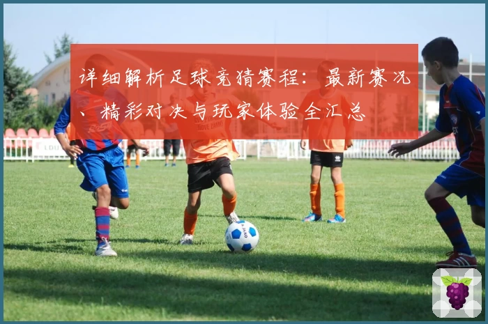 详细解析足球竞猜赛程：最新赛况、精彩对决与玩家体验全汇总