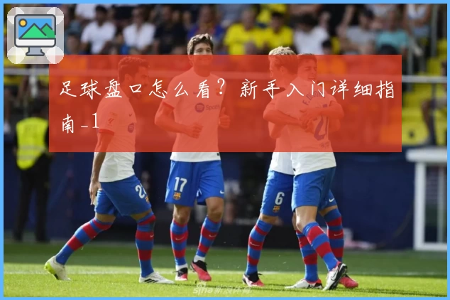 足球盘口怎么看？新手入门详细指南_1
