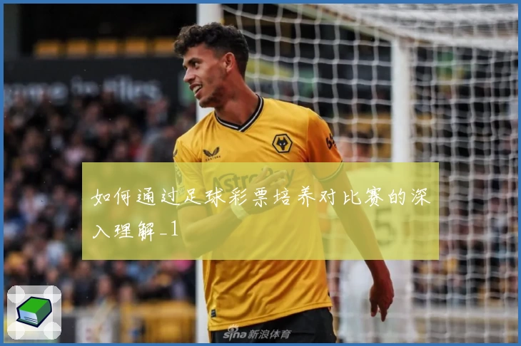 如何通过足球彩票培养对比赛的深入理解_1